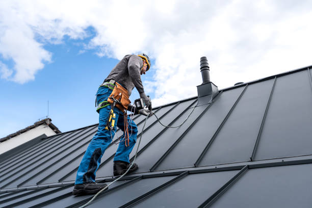 Best Storm Damage Roof Repair  in Rancho Alegre, TX